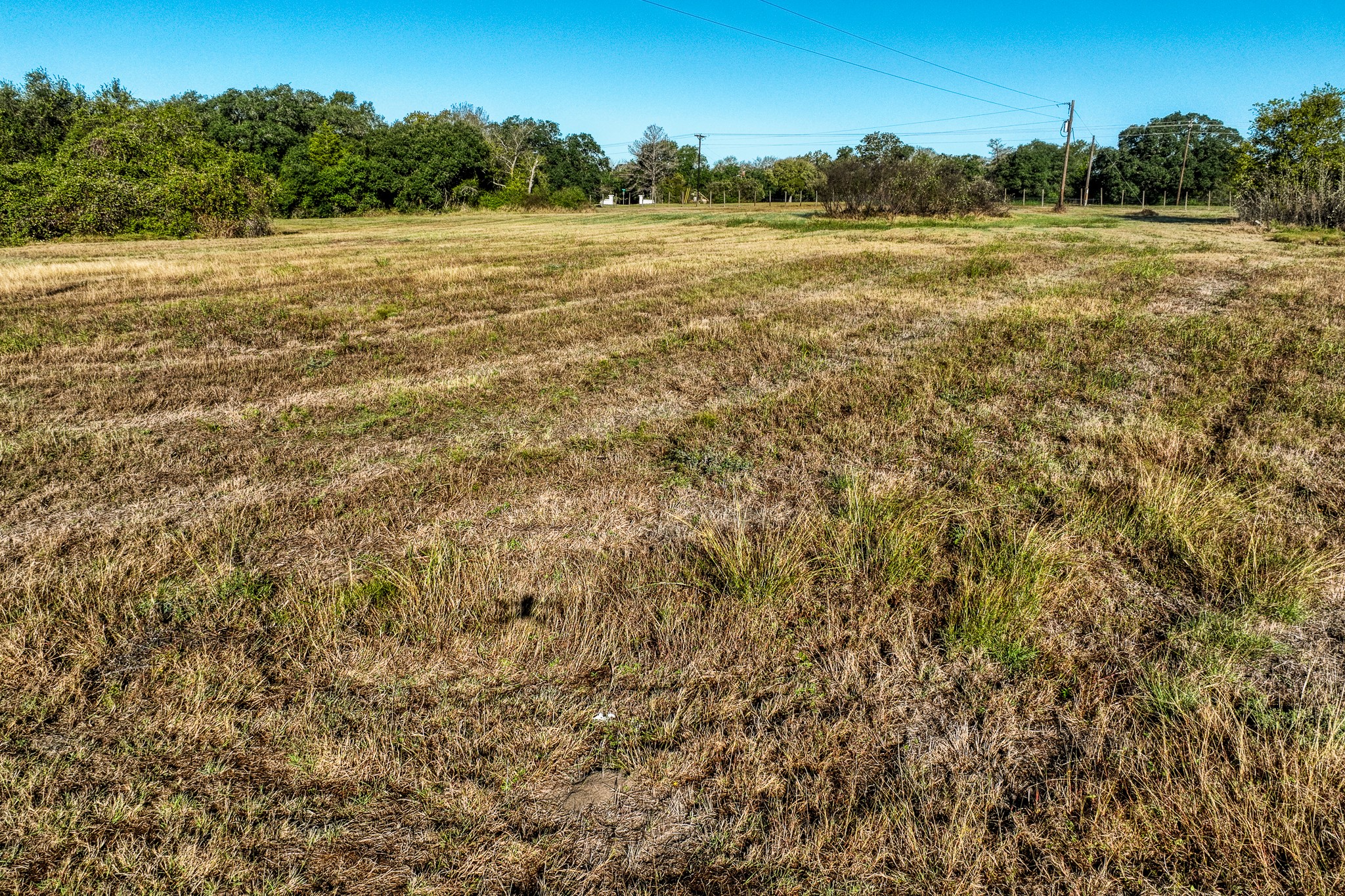 10702 Palestine Road Brenham, TX 77833 - Photo 14 of 20