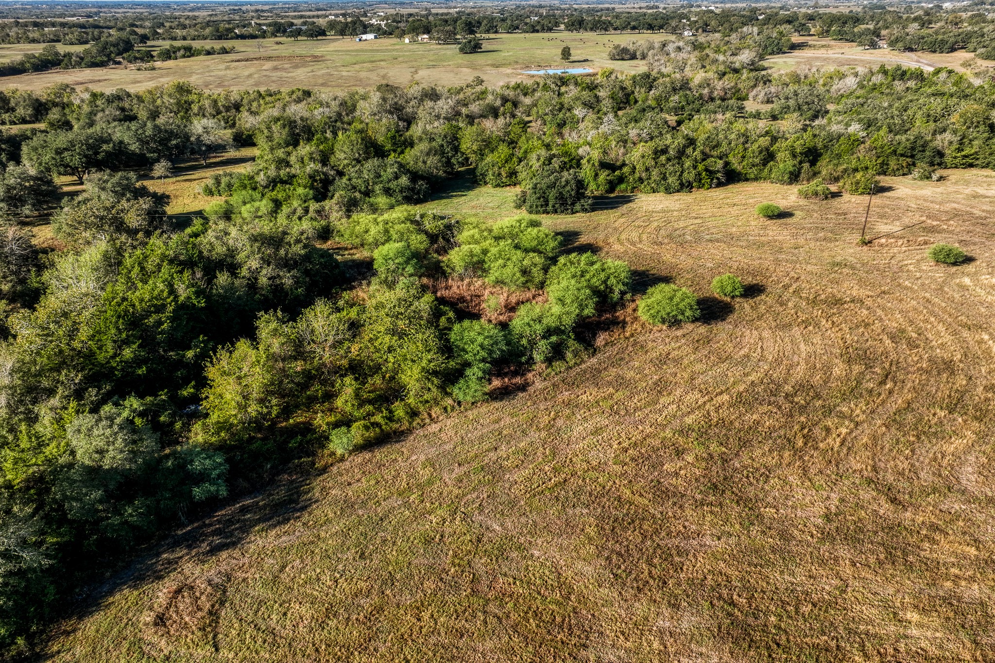 10702 Palestine Road Brenham, TX 77833 - Photo 15 of 20