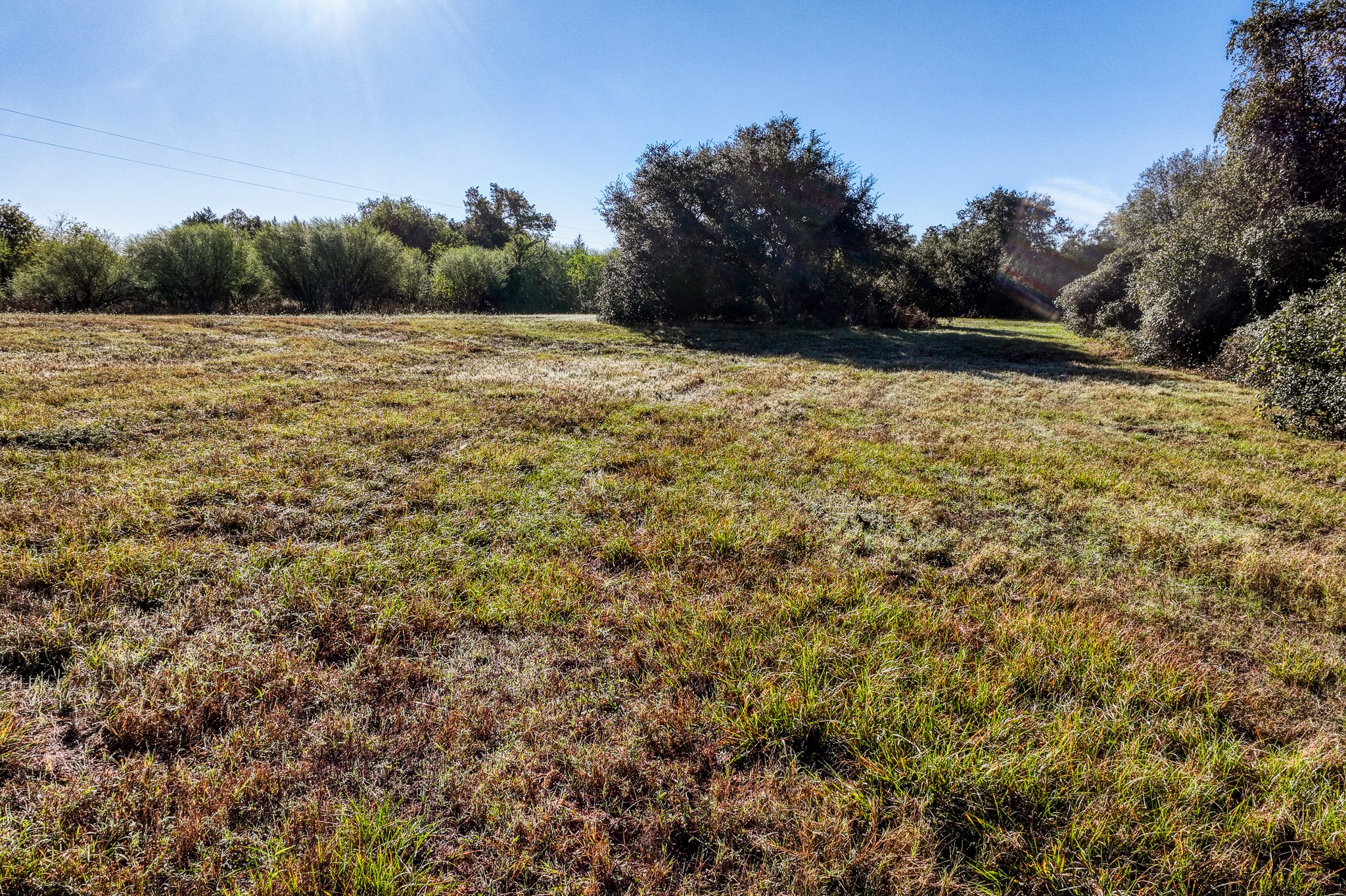 10702 Palestine Road Brenham, TX 77833 - Photo 3 of 20