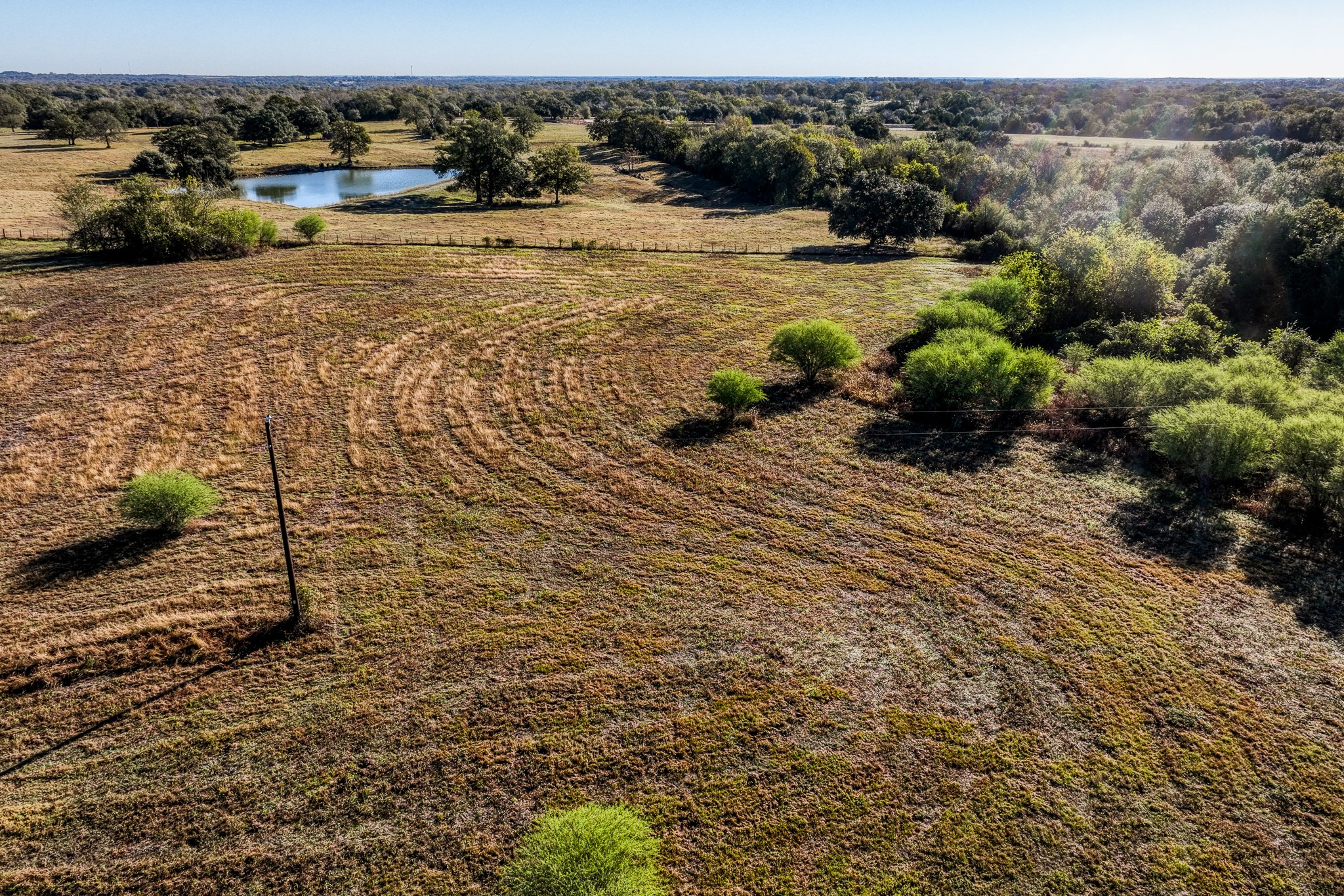 10702 Palestine Road Brenham, TX 77833 - Photo 5 of 20