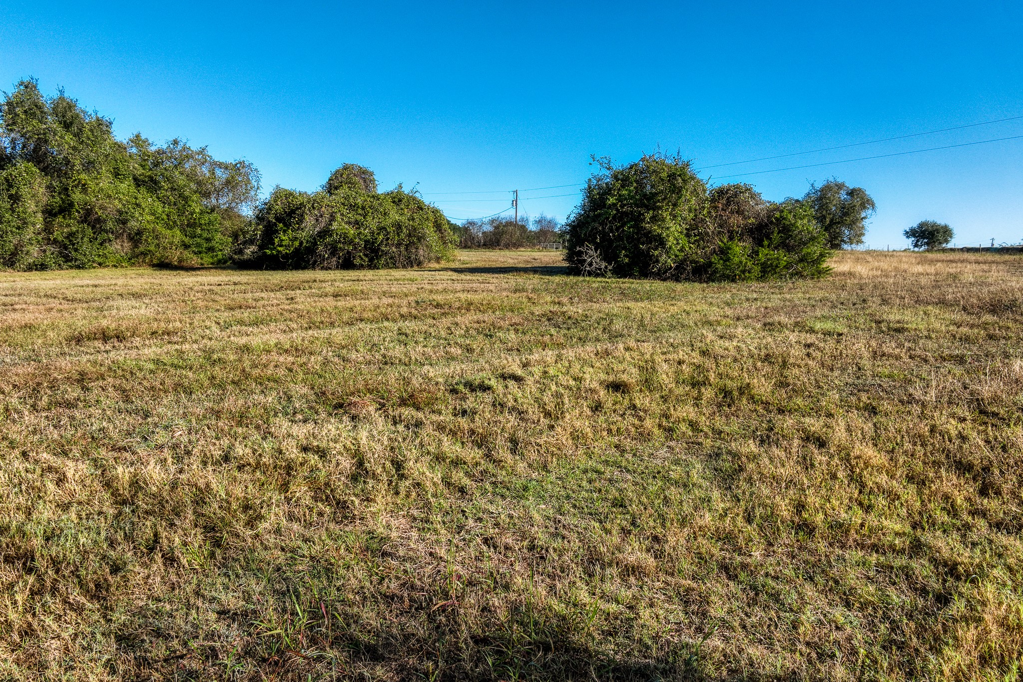 10702 Palestine Road Brenham, TX 77833 - Photo 8 of 20