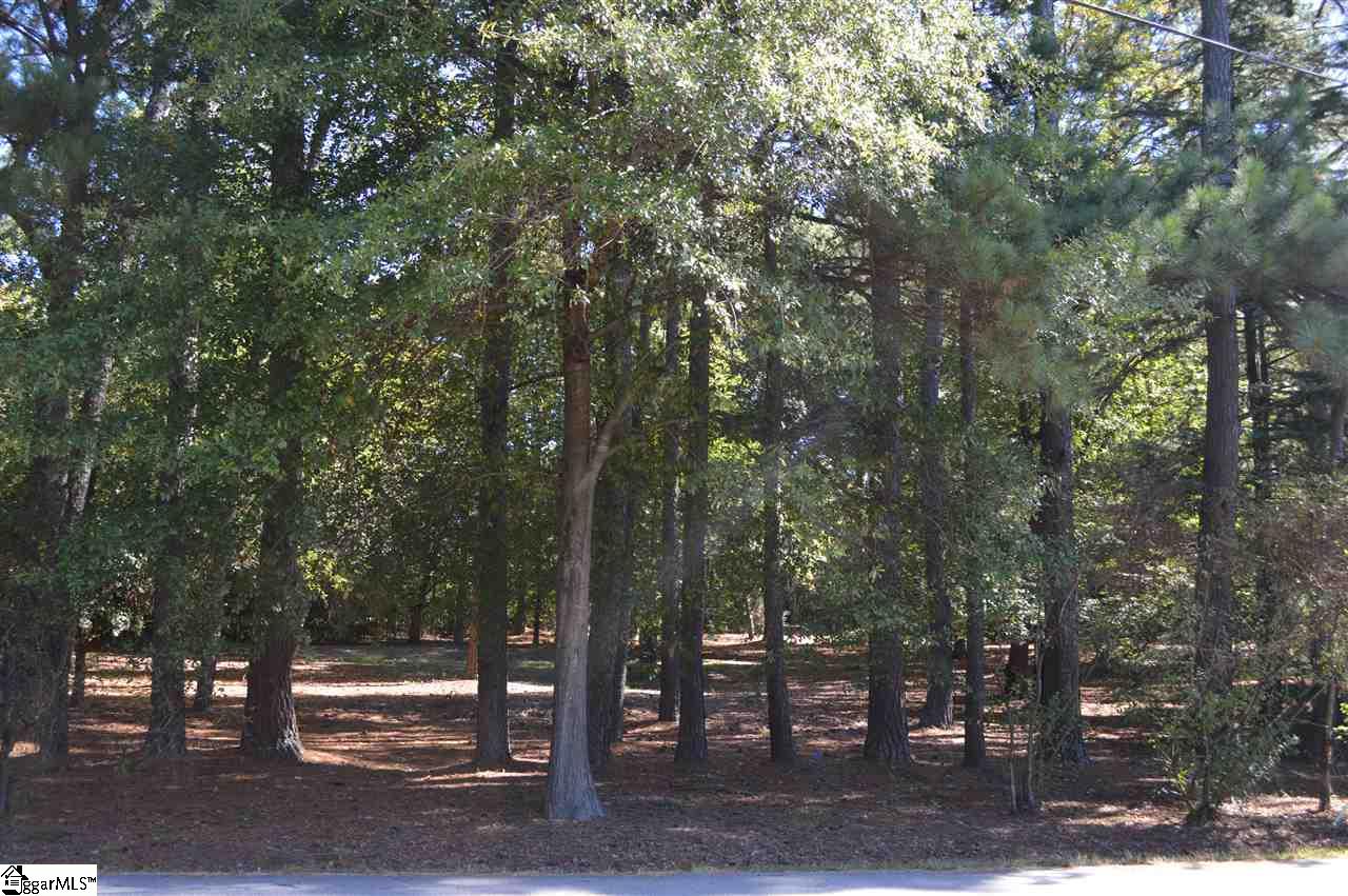 Parkins Lake Road Greenville, SC 29607 - Photo 3 of 9