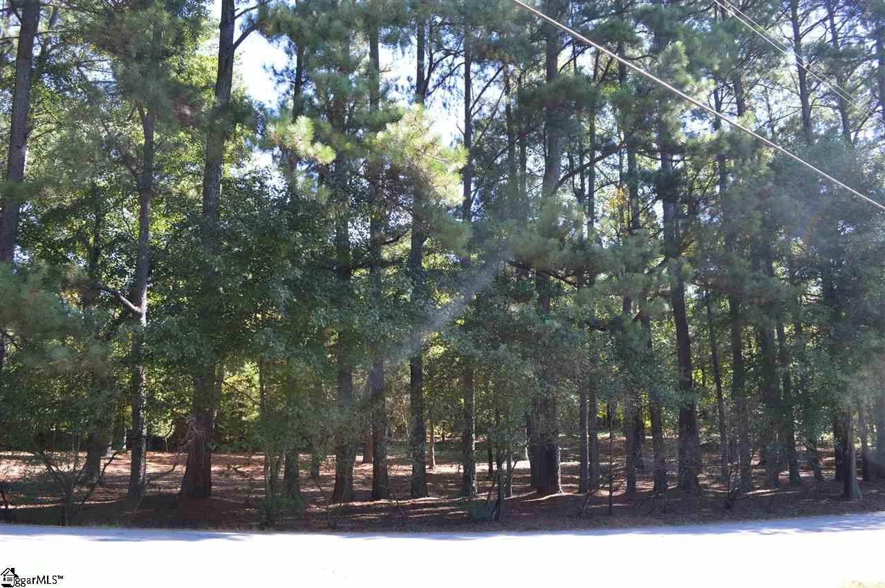 Parkins Lake Road Greenville, SC 29607 - Photo 4 of 9