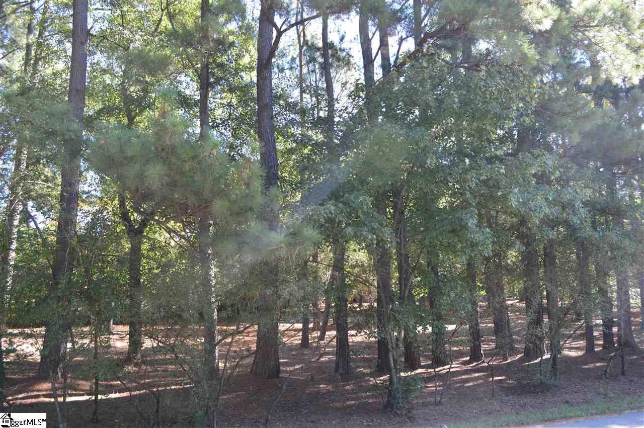 Parkins Lake Road Greenville, SC 29607 - Photo 5 of 9