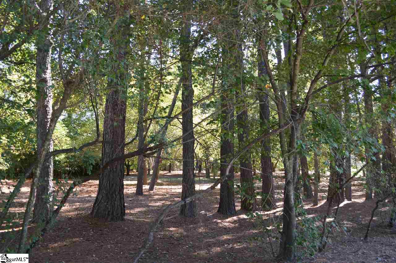 Parkins Lake Road Greenville, SC 29607 - Photo 6 of 9