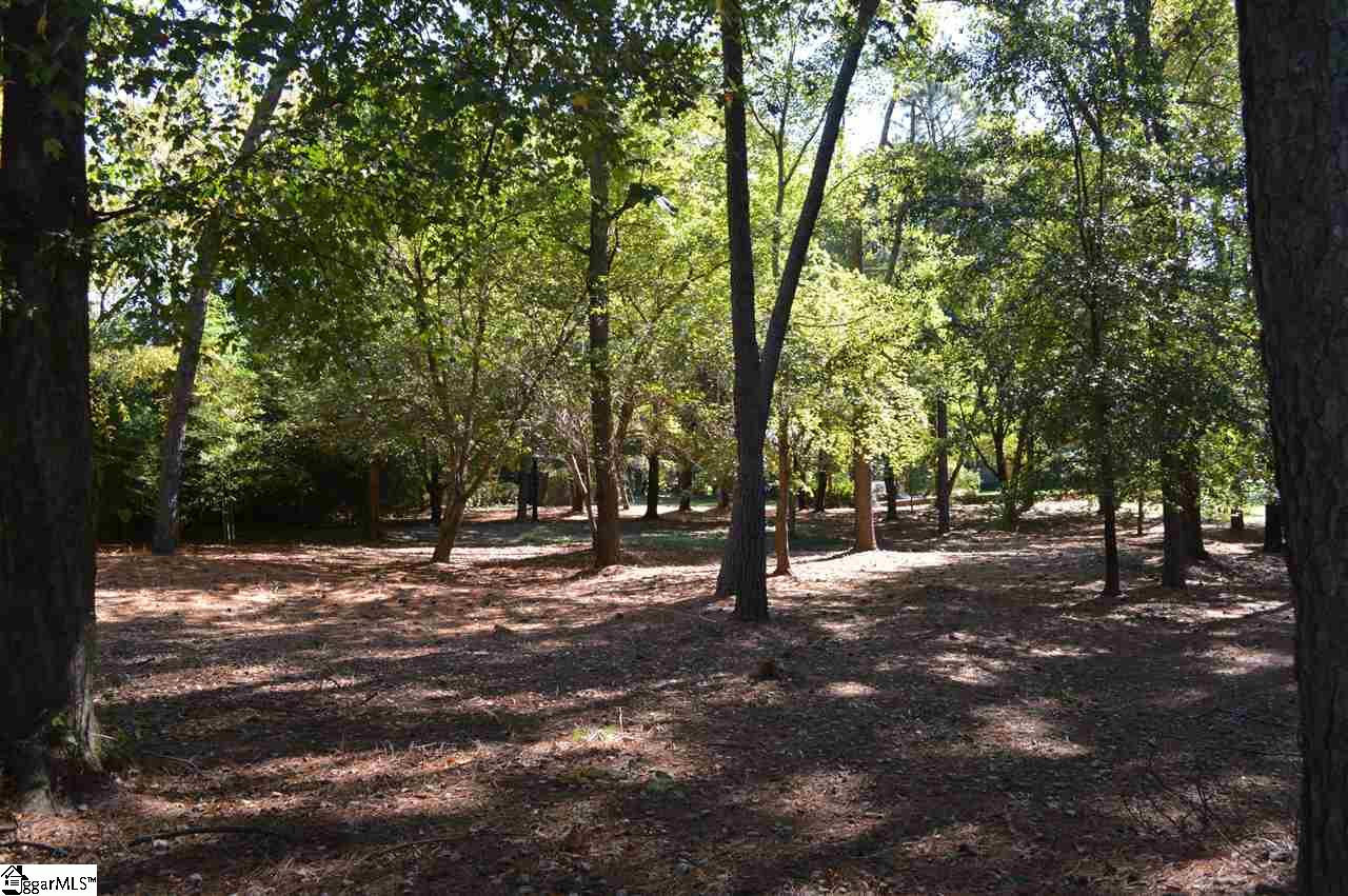 Parkins Lake Road Greenville, SC 29607 - Photo 7 of 9