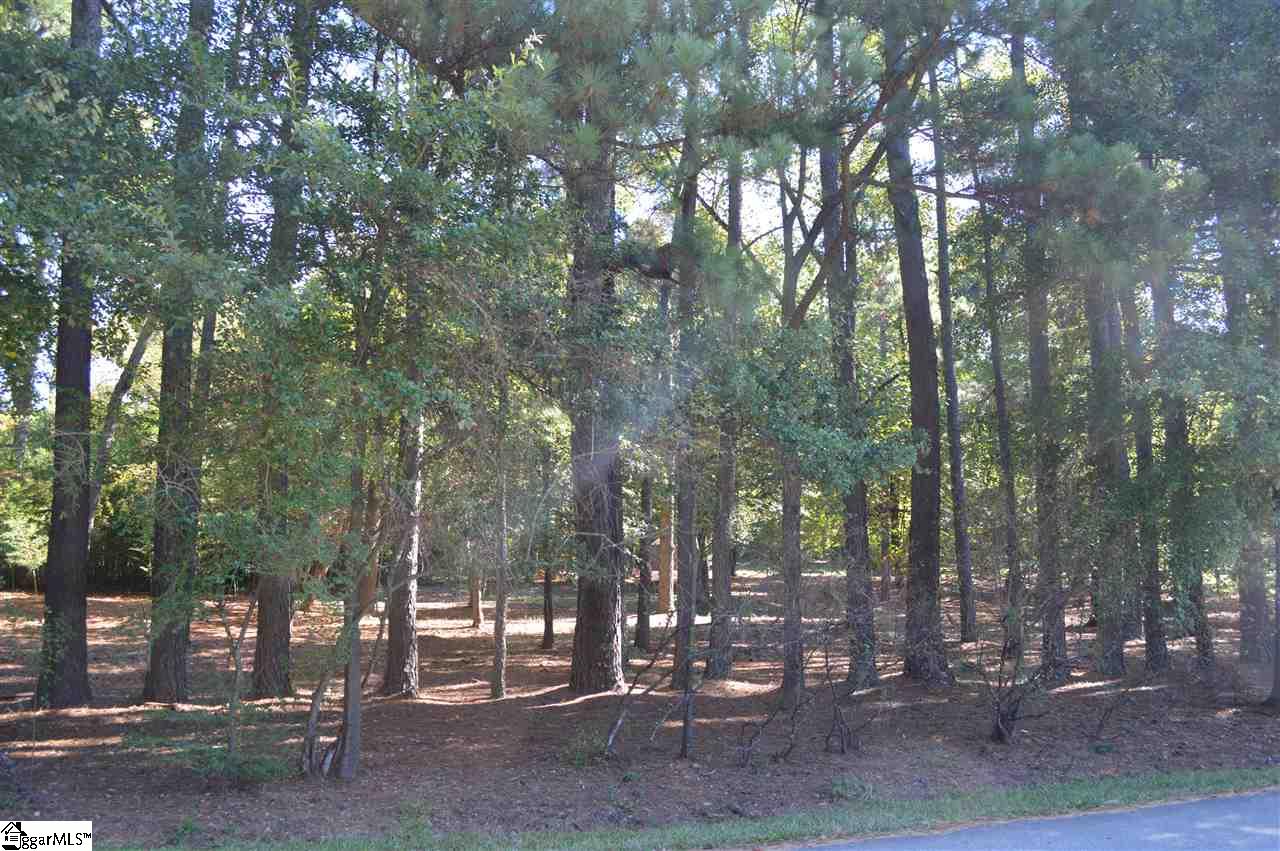 Parkins Lake Road Greenville, SC 29607 - Photo 8 of 9