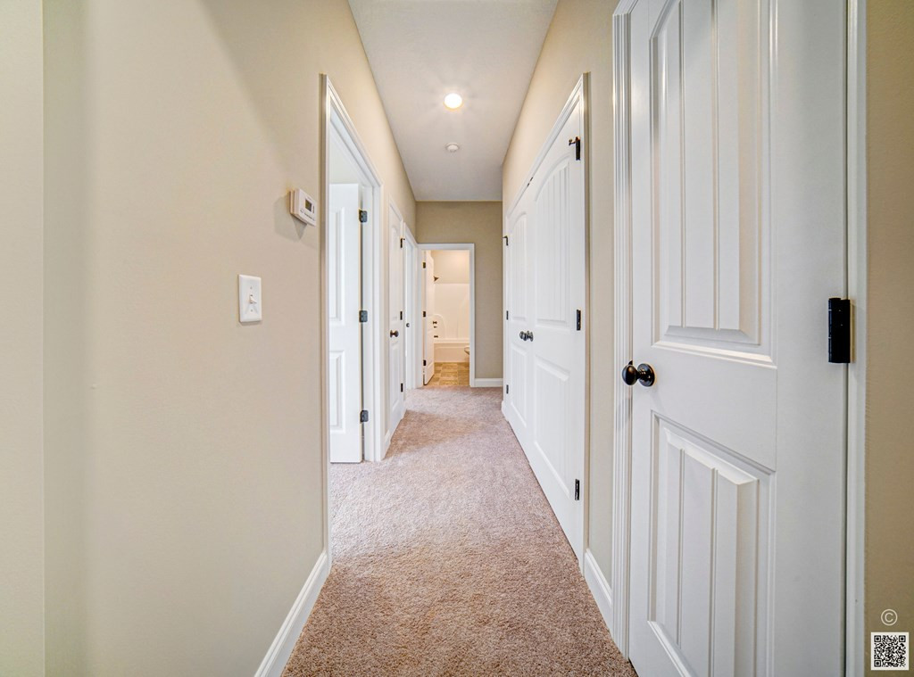 702 Mt Zion Road Trenton, SC 29847 - Photo 6 of 23 Gallery Image 6
