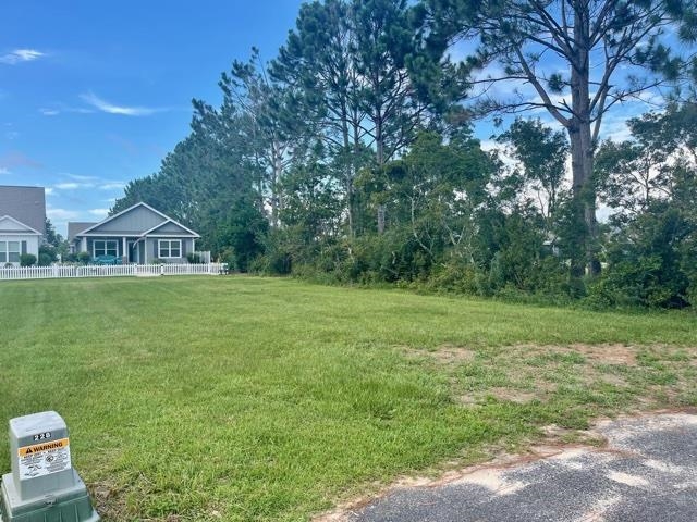 0 Pink Poppy Lane Foley, AL 36535 - Photo 1 of 9