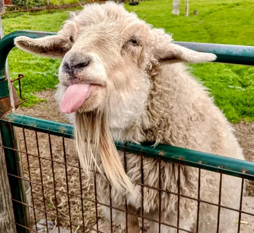 a view of a lake from a balcony