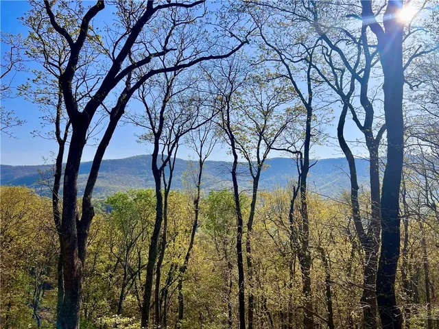 $425,000 | 190 South View Trail, Jasper, GA 30143