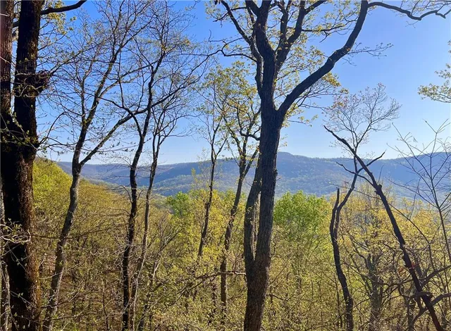 $425,000 | 190 South View Trail, Jasper, GA 30143