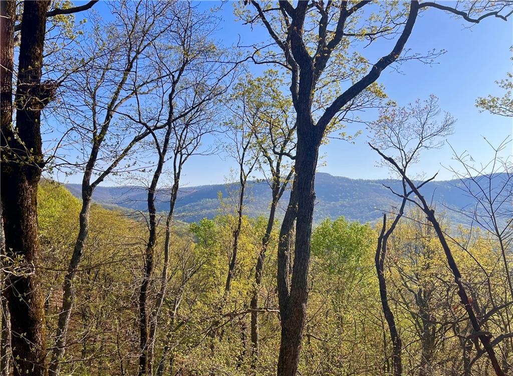 190 South View Trail Jasper, GA 30143 - Photo 7 of 79