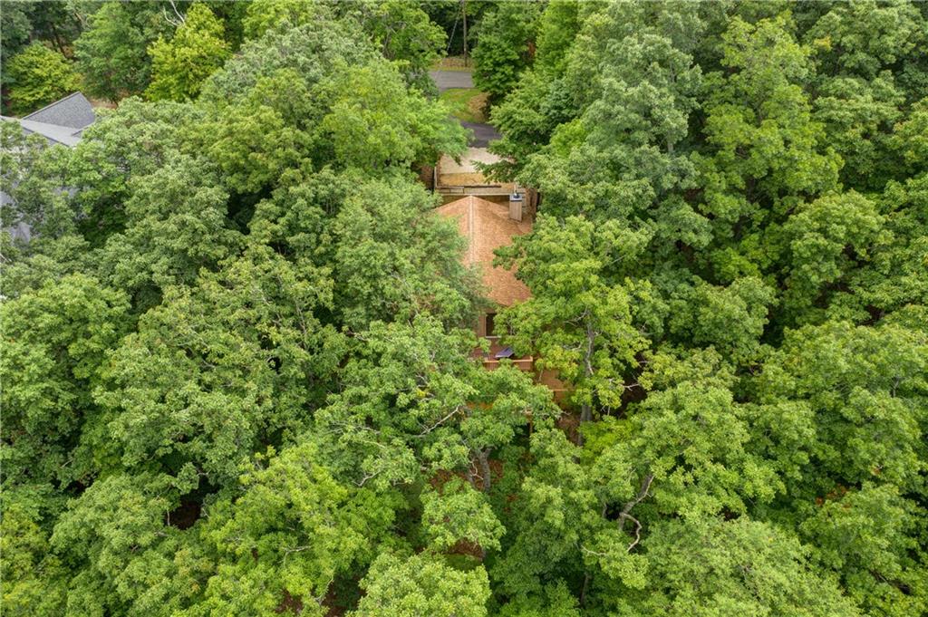 190 South View Trail Jasper, GA 30143 - Photo 74 of 79