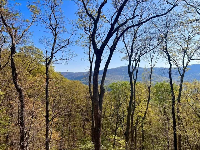 $425,000 | 190 South View Trail, Jasper, GA 30143