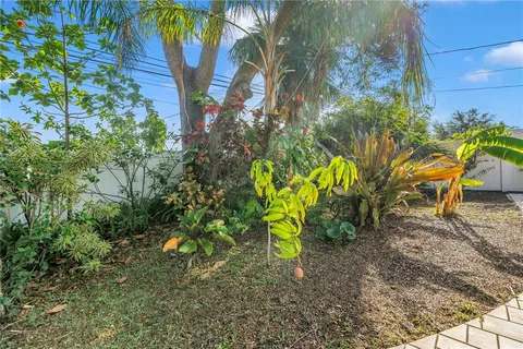 a view of a backyard with plants and a patio