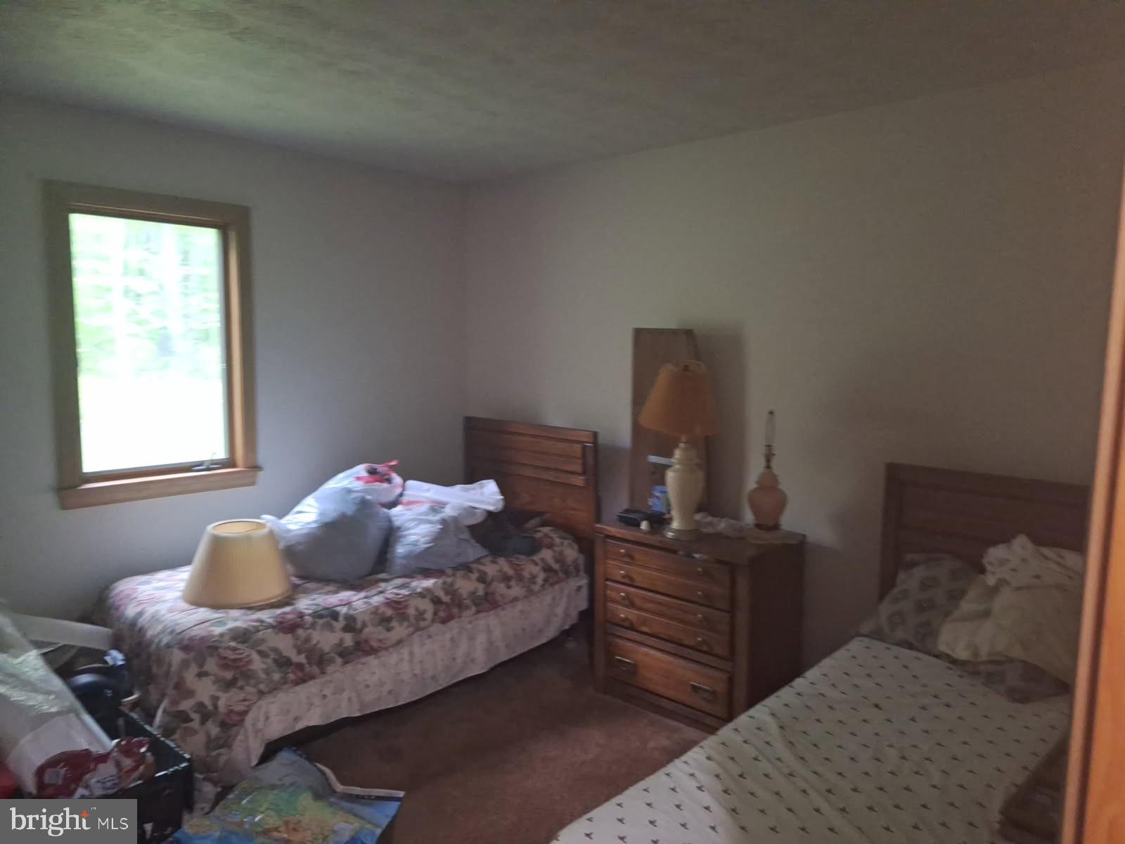 440 Bobcat Road Davis, WV 26260 - Photo 3 of 12