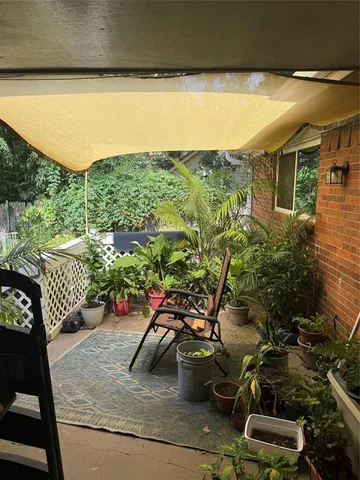 a view of a yard with plants and a bench