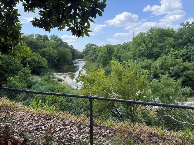 a view of a yard with a tree