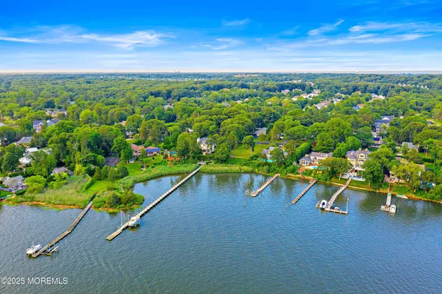 a view of a garden with an outdoor space