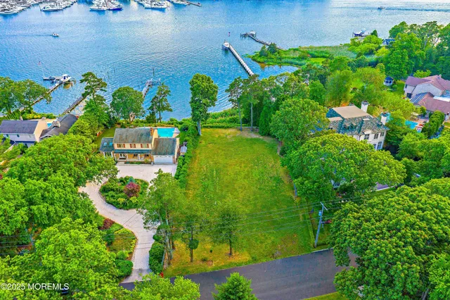 a view of a trees with a yard