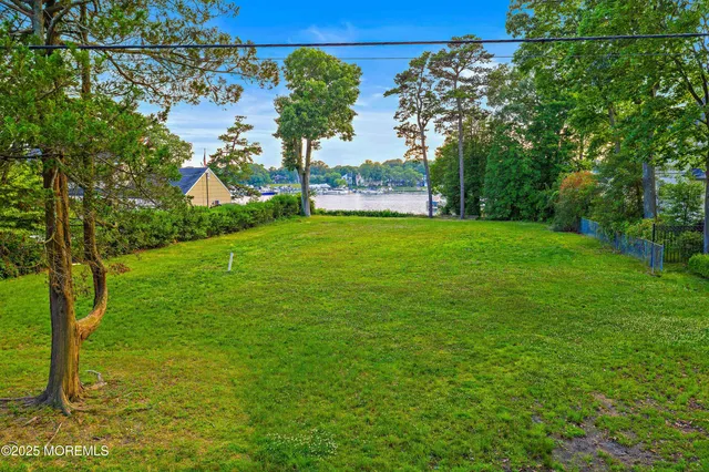 a view of a trees with a big yard