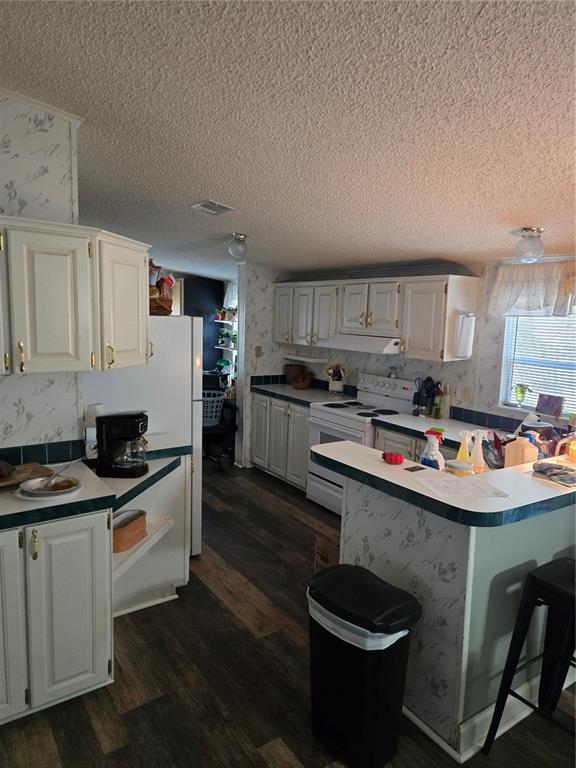 2121 Southeast 170th Avenue Road Silver Springs, FL 34488 - Photo 9 of 23 a kitchen with kitchen island a sink a stove and cabinets