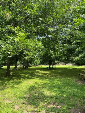 a view of a grassy field with trees