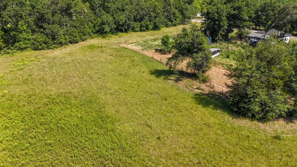 0 Main Street Headland, AL 36345 - Photo 3 of 12