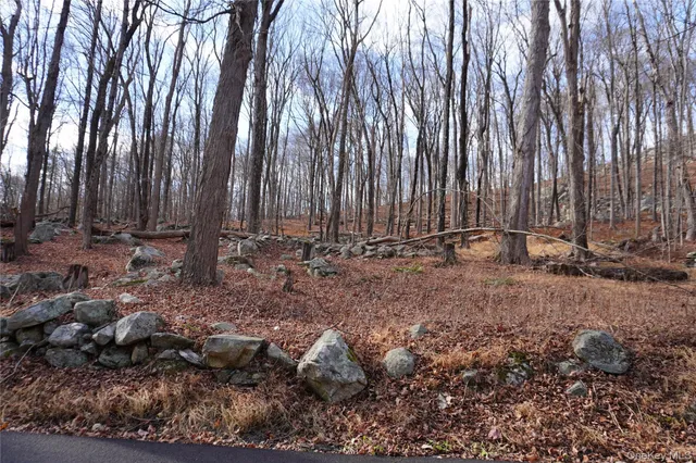 a view of backyard with green space