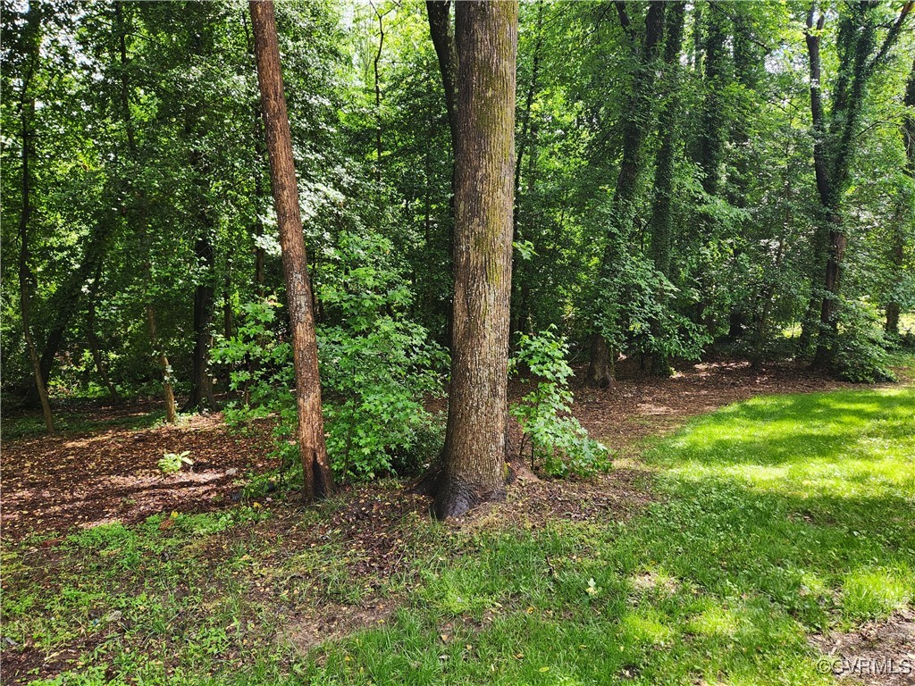 8231 Oxer Road North Chesterfield, VA 23235 - Photo 3 of 20 Gallery Image 3
