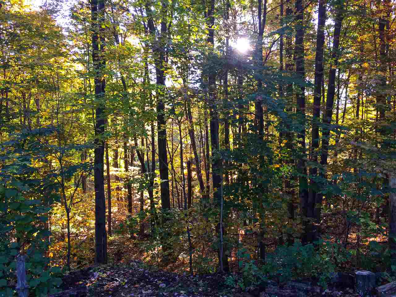 2053 Hardscrabble Road Monkton, VT 05443 - Photo 29 of 34 Gallery Image 29
