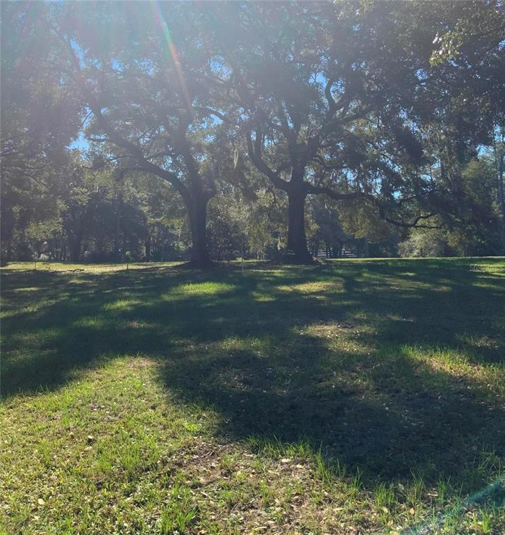 21426 Northeast 51st Avenue Earleton, FL 32631 - Photo 11 of 24 a backyard of a house with lots of green space and fog