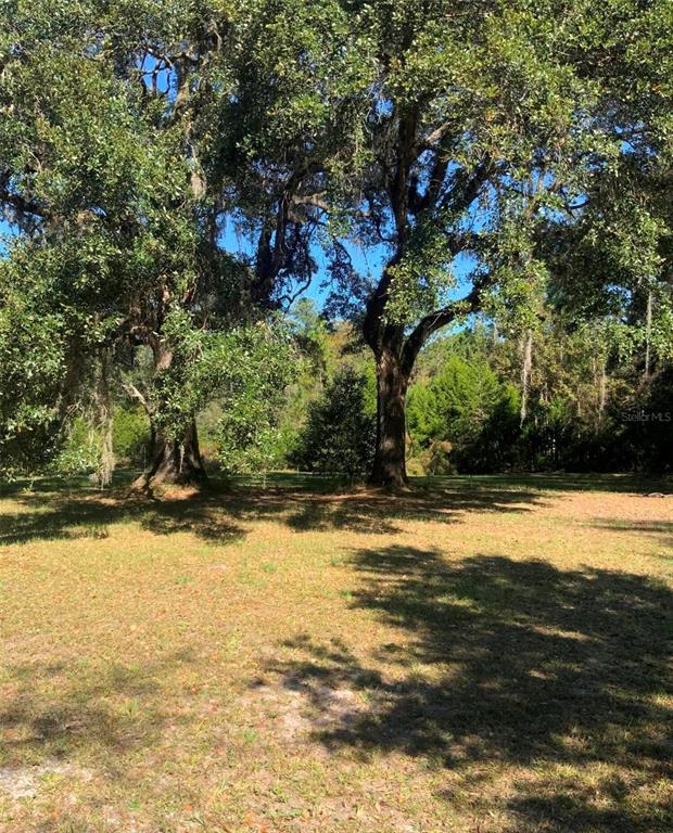 21426 Northeast 51st Avenue Earleton, FL 32631 - Photo 13 of 24 a view of a yard with a tree