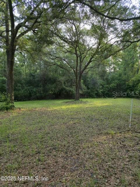 21426 Northeast 51st Avenue Earleton, FL 32631 - Photo 14 of 24 a view of a field with trees in the background
