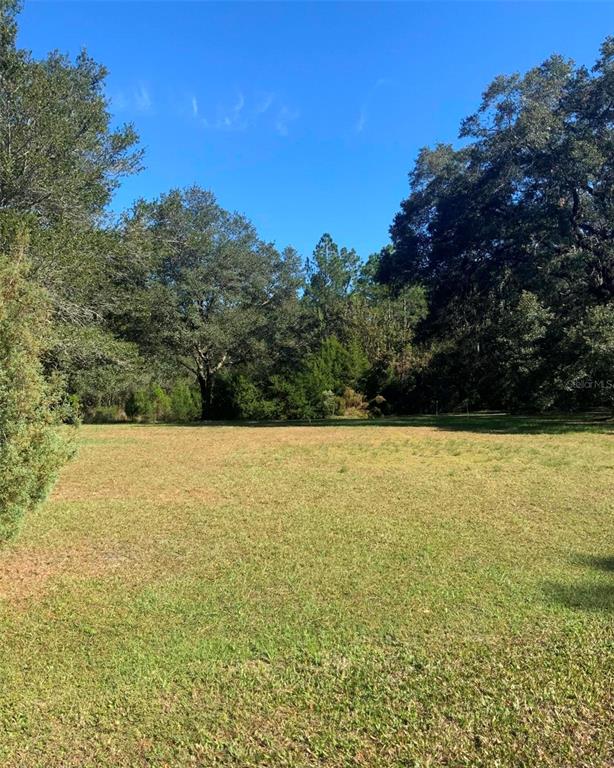 21426 Northeast 51st Avenue Earleton, FL 32631 - Photo 16 of 24 a view of outdoor space and yard
