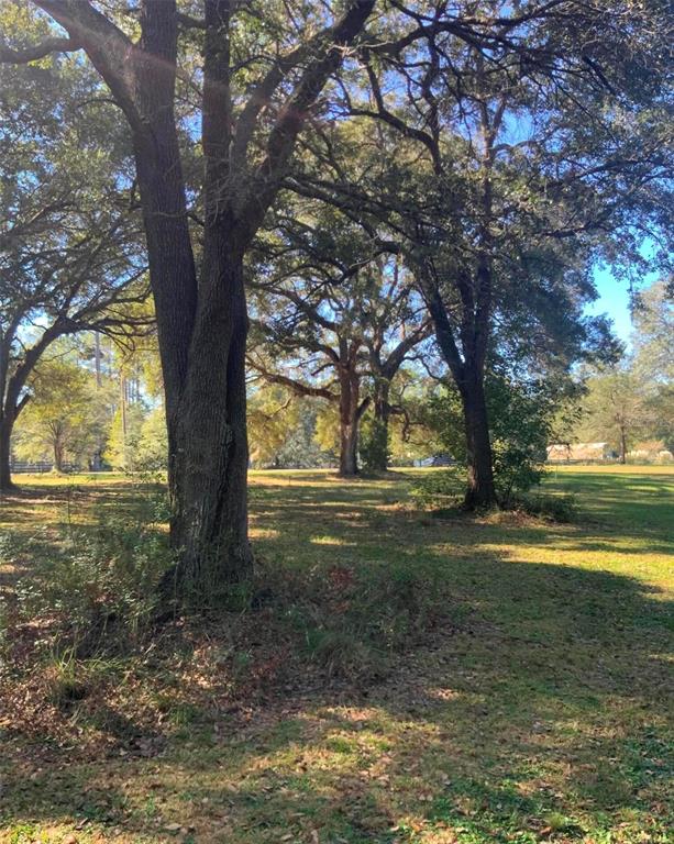 21426 Northeast 51st Avenue Earleton, FL 32631 - Photo 20 of 24 a view of lake with green space