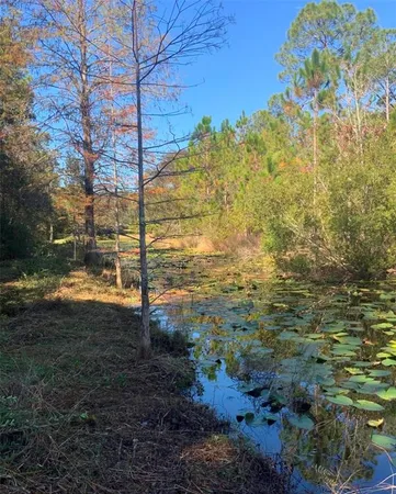 $37,900 | 21426 Northeast 51st Avenue, Earleton, FL 32631