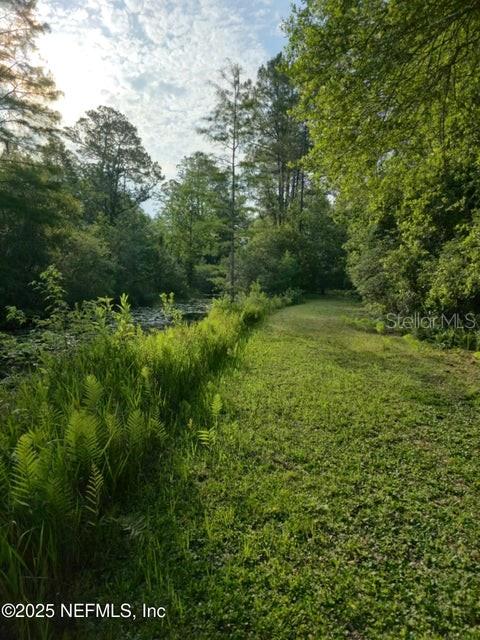 21426 Northeast 51st Avenue Earleton, FL 32631 - Photo 6 of 24 a view of a lush green space