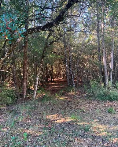 $1,000 | 21426 Northeast 51st Avenue, Earleton, FL 32631