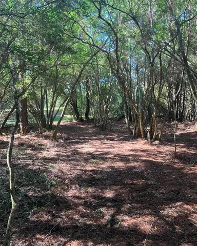 $1,000 | 21426 Northeast 51st Avenue, Earleton, FL 32631