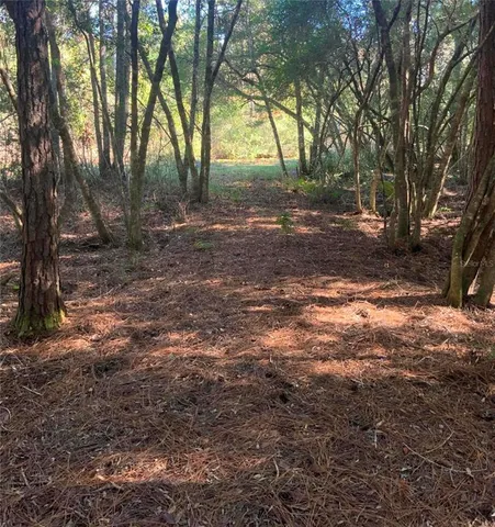 $1,000 | 21426 Northeast 51st Avenue, Earleton, FL 32631