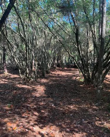 $37,900 | 21426 Northeast 51st Avenue, Earleton, FL 32631