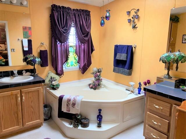 2537 Salt Pond Road Blue Ridge, VA 24064 - Photo 14 of 22 a bathroom with a sink and a mirror