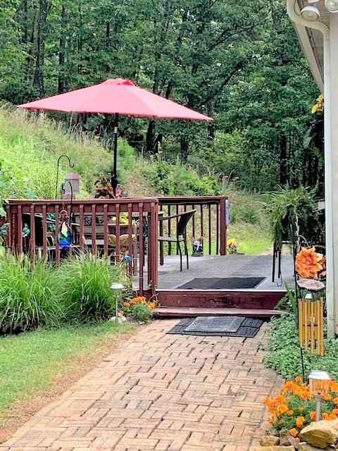 2537 Salt Pond Road Blue Ridge, VA 24064 - Photo 3 of 22 a view of yard with patio