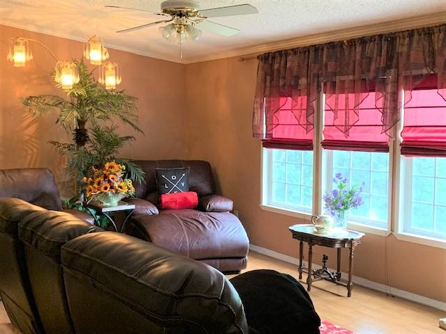 2537 Salt Pond Road Blue Ridge, VA 24064 - Photo 4 of 22 a living room with furniture and a window