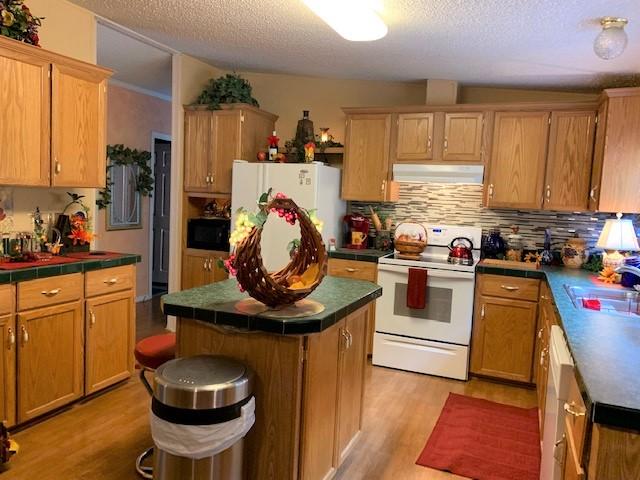 2537 Salt Pond Road Blue Ridge, VA 24064 - Photo 8 of 22 a kitchen with a stove and a refrigerator
