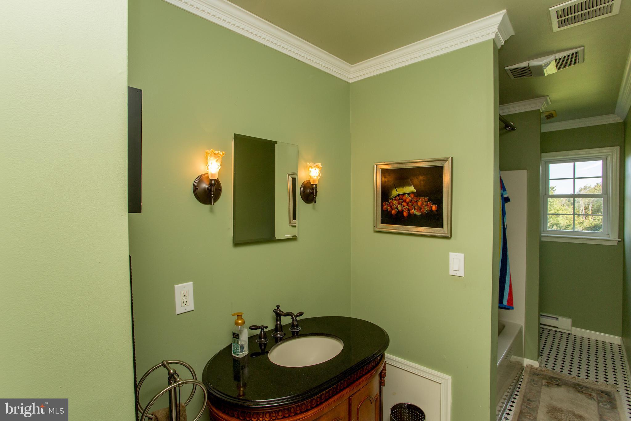3605 Windy Bush Road New Hope, PA 18938 - Photo 33 of 55 a bathroom with a sink and a mirror