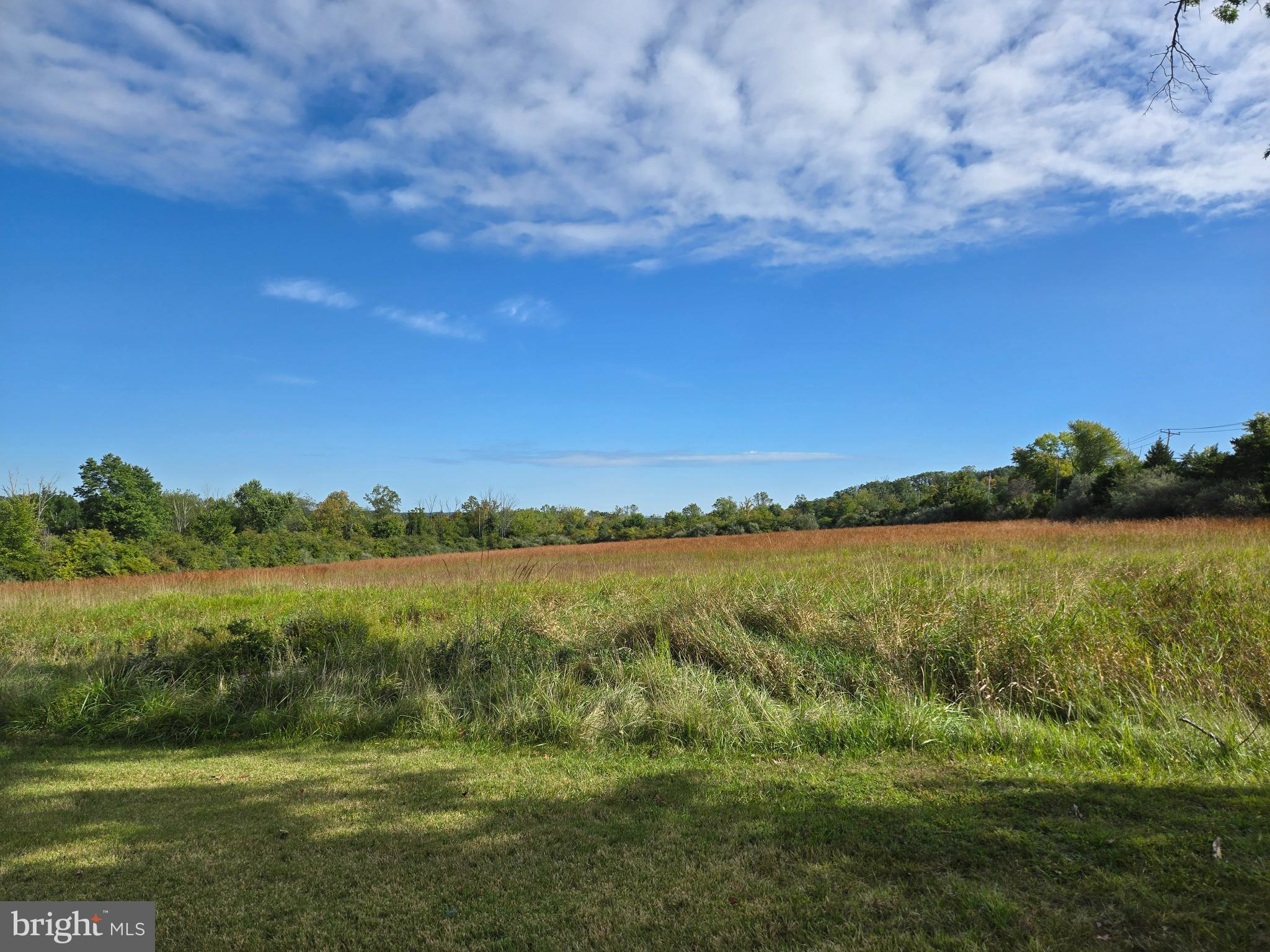 3605 Windy Bush Road New Hope, PA 18938 - Photo 7 of 55 Open land for farming or pastures