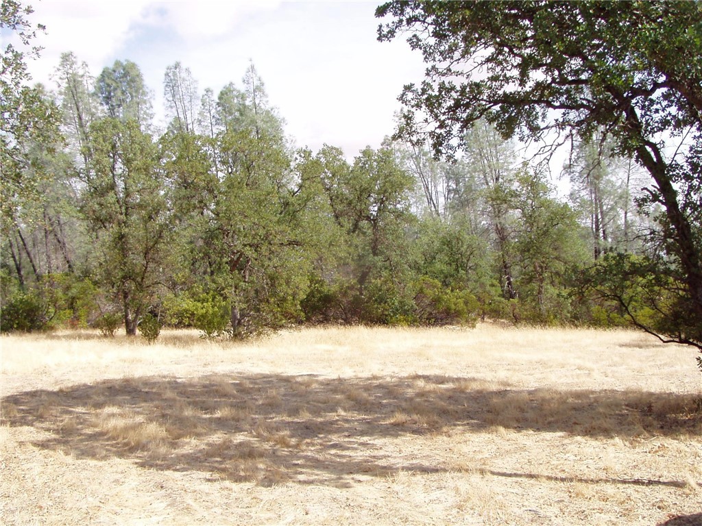 15838 El Dorado Drive Corning, CA 96021 - Photo 2 of 3